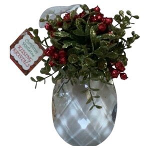 Christmas Mistletoe Kissing Krystals Holiday Hanging Ornament NWT